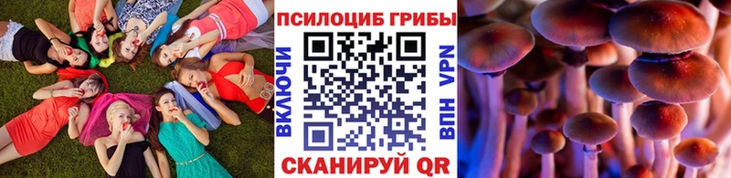 купить сайты Беломорск Псилоцибиновые грибы ЛСД